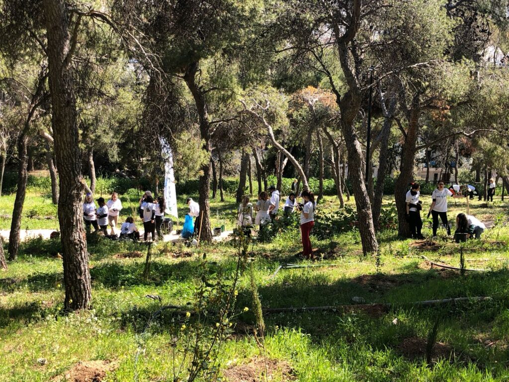 Δήμος Αθηναίων Συνεχείς δενδροφυτεύσεις σε Λυκαβηττό και Στρέφη πραγματοποιεί ο Δήμος Αθηναίων