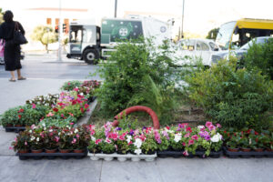 Δήμος Αθηναίων: Η οδός Πανεπιστημίου απέκτησε χρώμα