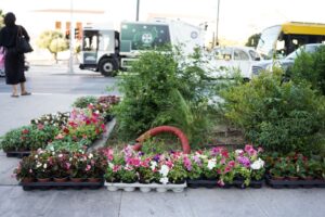 Δήμος Αθηναίων: Η οδός Πανεπιστημίου απέκτησε χρώμα