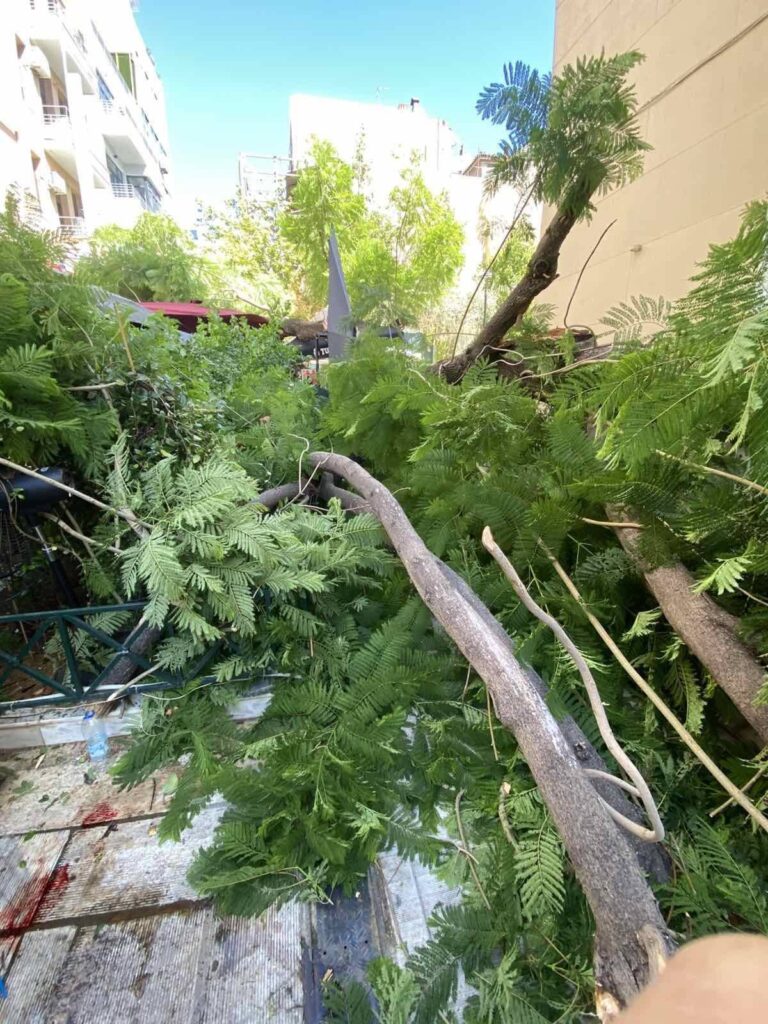 Ανακοίνωση Δήμου Αθηναίων για πτώση δέντρων και προειδοποίηση για δυνατούς ανέμους